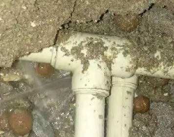 营口市测漏水多少钱