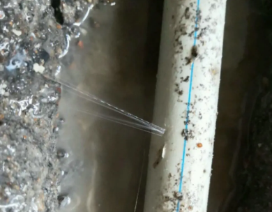 营口市测漏水哪家好