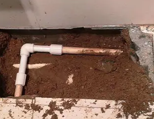 营口市测漏水哪家好