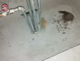 营口市卫生间测漏水价格明细