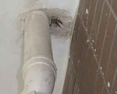 营口市漏水检测哪家好